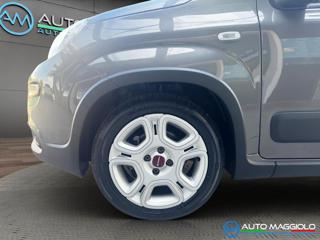 FIAT Panda usata, con Climatizzatore