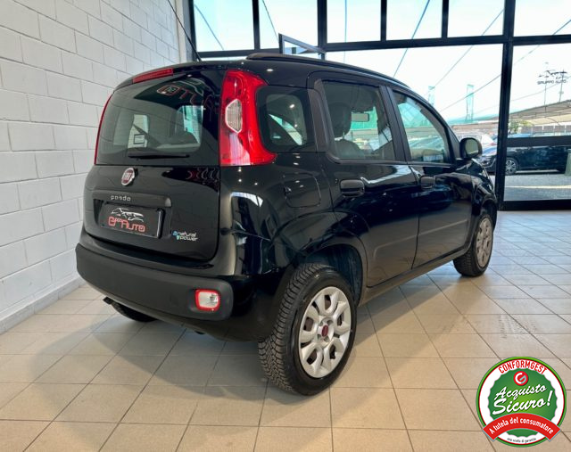 FIAT Panda usata, con Alzacristalli elettrici