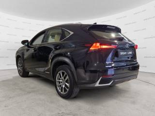LEXUS NX 300 usata, con Airbag Passeggero