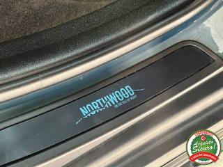 MINI Countryman usata, con Cronologia tagliandi