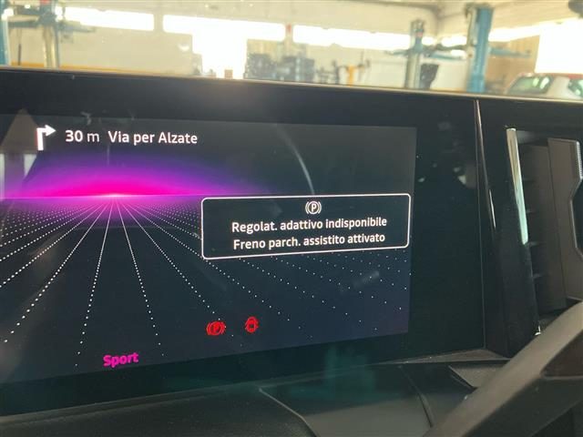 RENAULT Megane usata 28