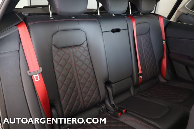 AUDI Q8 usata, con Ski bag