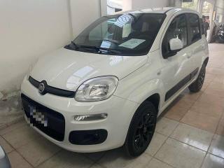 FIAT Panda 4x4 0.9 BENZINA TwinAir Turbo S&S 85cv