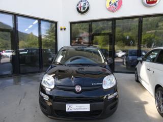 FIAT Panda usata, con Airbag Passeggero