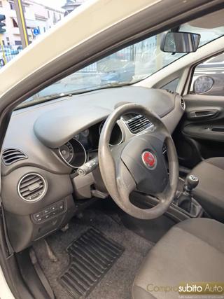 FIAT Punto usata 19