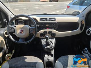 FIAT Panda usata 20