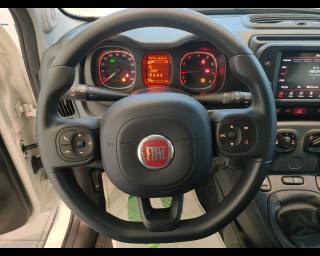 FIAT New Panda usata, con Sedile posteriore sdoppiato
