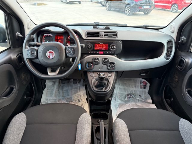 FIAT Panda usata 18