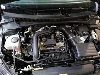 VOLKSWAGEN Polo usata, con Controllo automatico clima