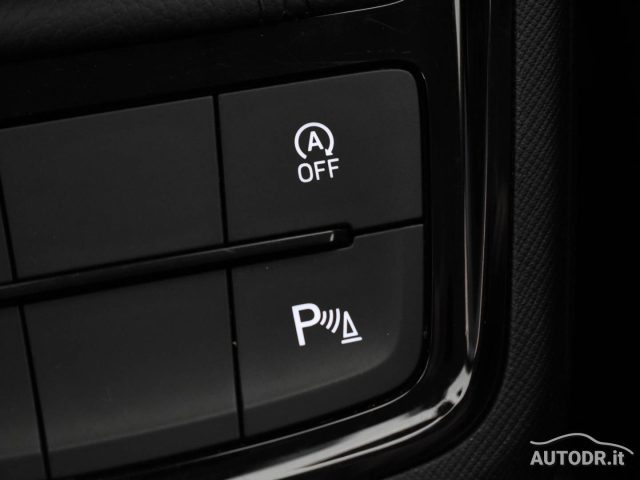 SKODA Kamiq usata, con Luci diurne