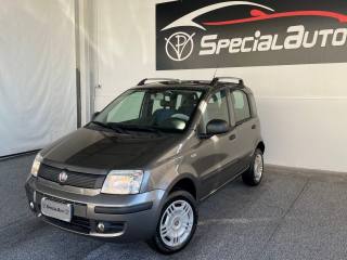 FIAT Panda usata 13