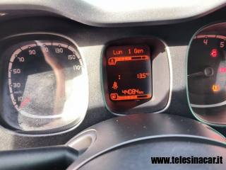 FIAT Panda usata 11