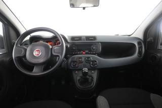 FIAT Panda usata 4