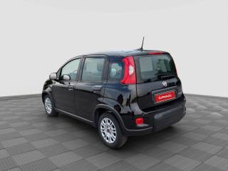 FIAT Panda usata 2