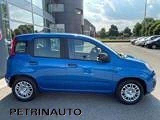 FIAT Panda usata, con Climatizzatore