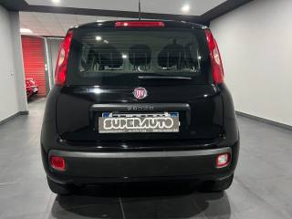 FIAT Panda usata, con Airbag Passeggero