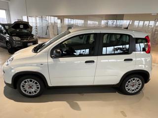 FIAT Panda usata, con Airbag Passeggero