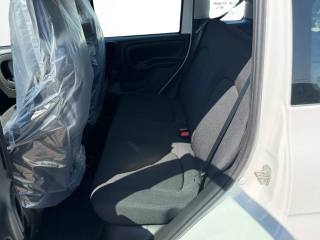 FIAT Pandina usata, con Cruise Control