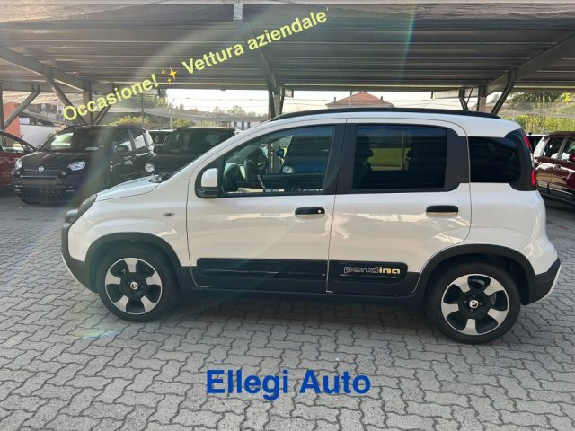 FIAT Pandina usata, con Controllo trazione