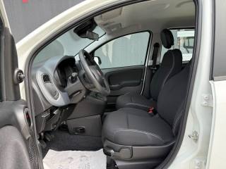 FIAT Pandina usata, con Airbag Passeggero