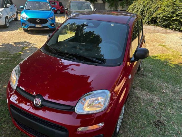 FIAT Panda usata, con Airbag Passeggero