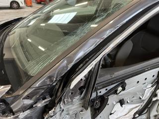 OPEL Grandland X usata, con Cruise Control