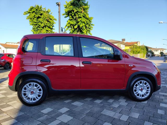 FIAT Panda usata, con Airbag Passeggero