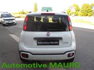 FIAT Panda Cross usata, con Climatizzatore
