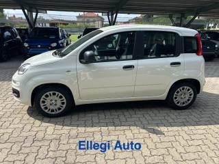 FIAT Panda usata, con Immobilizzatore elettronico