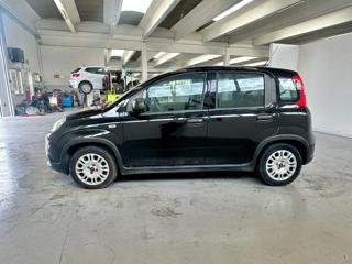 FIAT Panda usata, con Alzacristalli elettrici