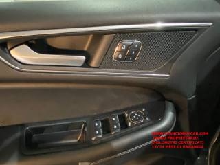 FORD Edge usata, con Cruise Control