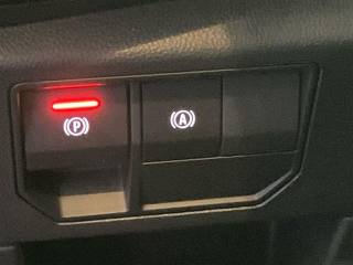 RENAULT Austral usata 29