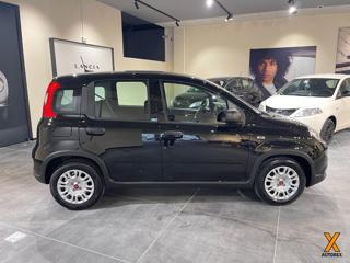 FIAT Panda usata, con Antifurto
