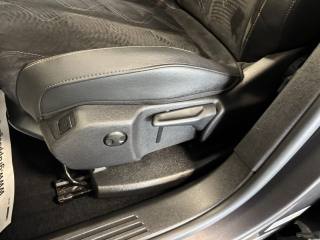 DS AUTOMOBILES DS 7 usata, con Controllo vocale