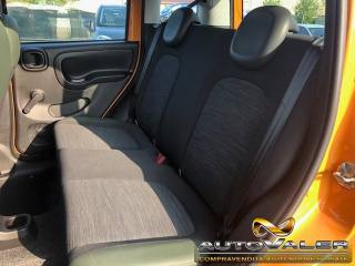 FIAT Panda usata, con Cronologia tagliandi
