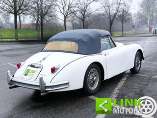 JAGUAR XK usata 11
