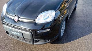 FIAT Panda usata, con Chiusura centralizzata telecomandata