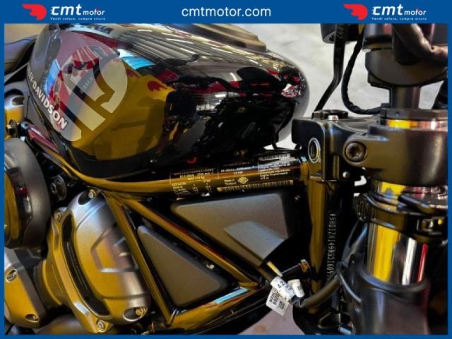 HARLEY-DAVIDSON Other usata 10