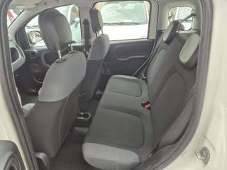 FIAT Panda usata, con Controllo trazione
