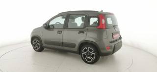 FIAT Panda usata 26