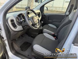 FIAT Panda usata, con Climatizzatore