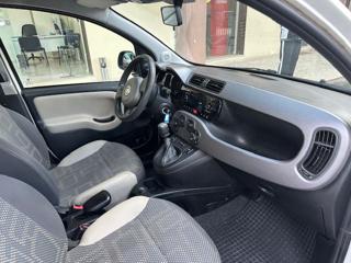 FIAT Panda usata, con Fendinebbia