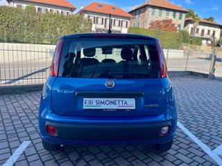 FIAT Panda usata, con Antifurto