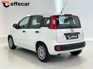 FIAT Panda usata, con Alzacristalli elettrici