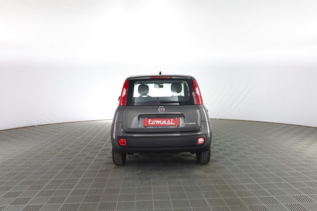 FIAT Panda usata 4