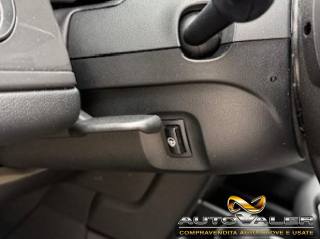 MINI Countryman usata, con Cronologia tagliandi