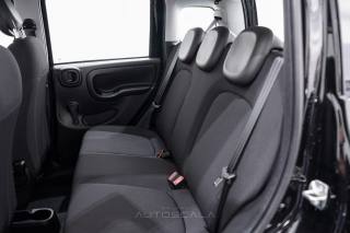 FIAT New Panda usata 18