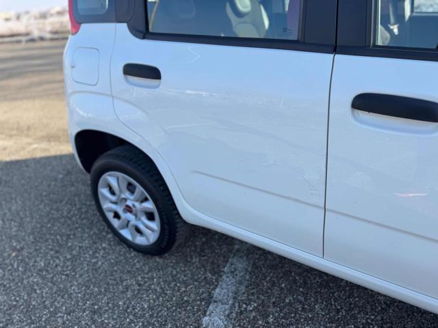 FIAT Panda usata, con Fendinebbia