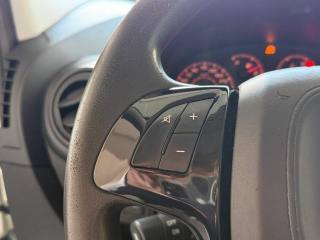 FIAT Fiorino usata, con Bracciolo