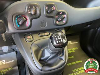 FIAT Panda usata, con Airbag testa